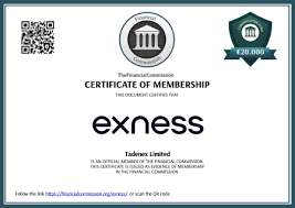 Download The Exness App For Optimal Trading Experience